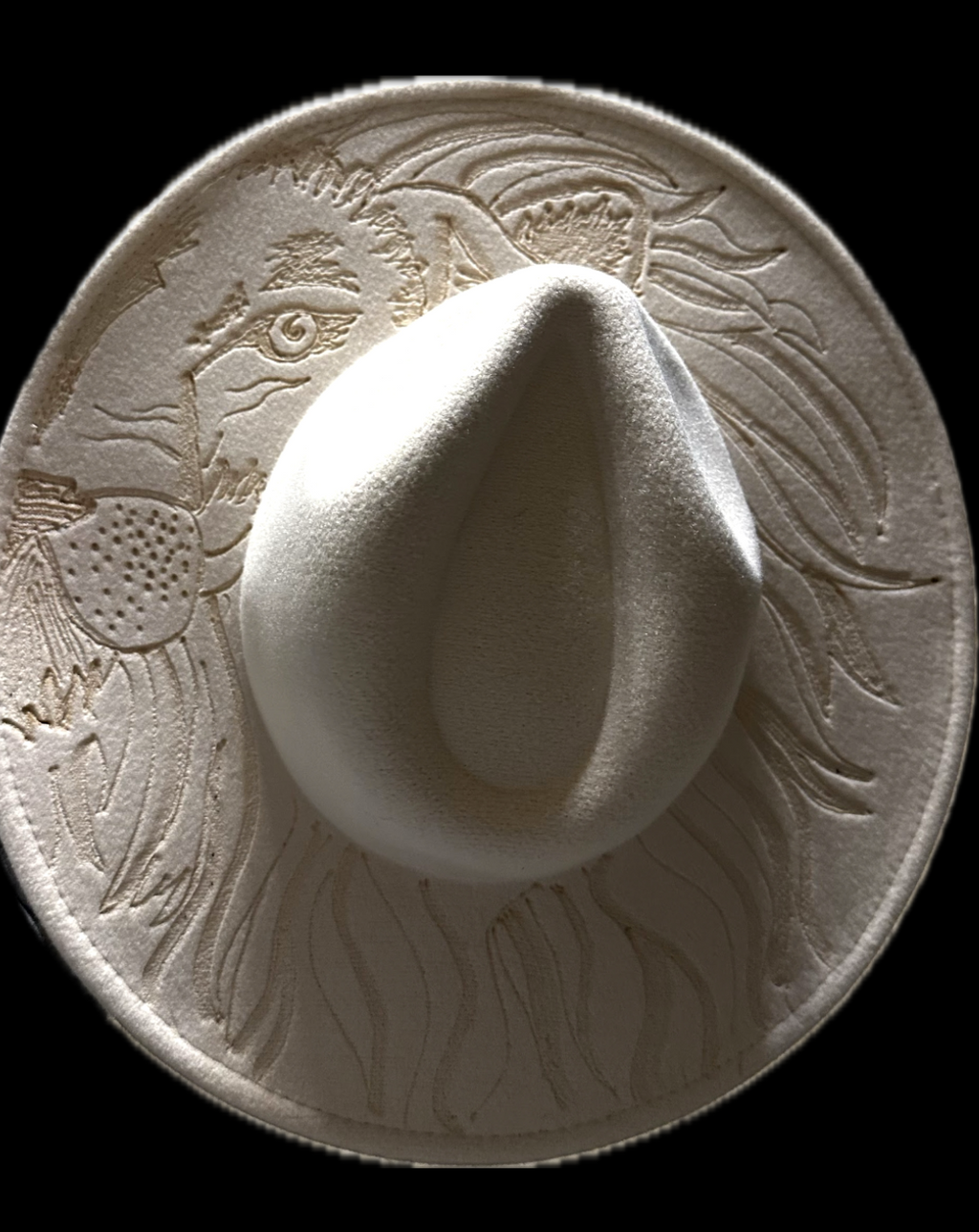 Burned Wide Brim Hat